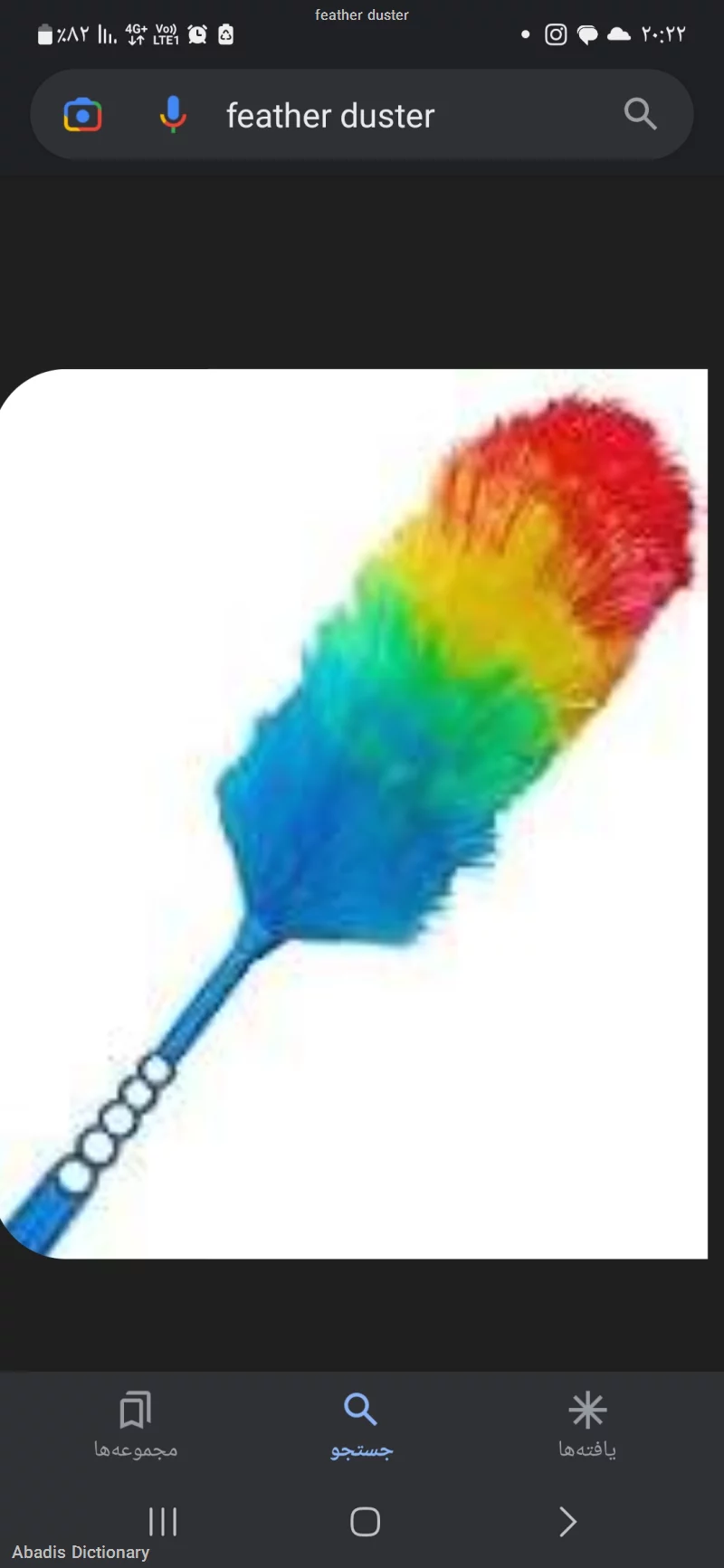 feather duster